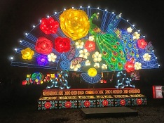 china-lights-11-5-16-jpg-10