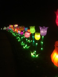 china-lights-11-5-16-jpg-3